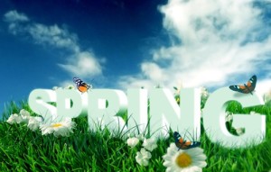 spring